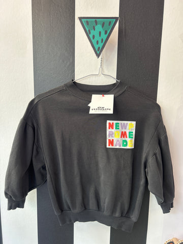 Sweater met schildpad (mt 104-110)