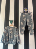 Set muizen (mt 110)