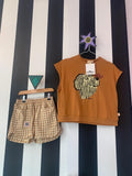 Set hond (mt 116-122)