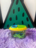 Maxi insectendoos