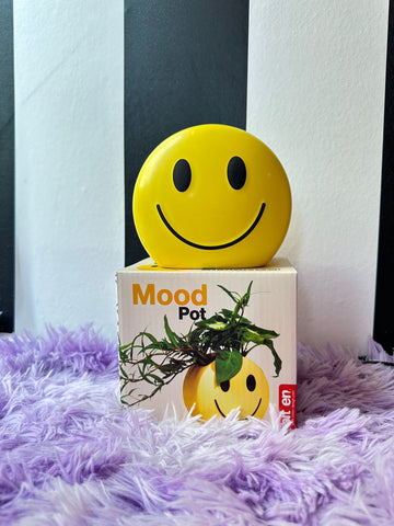 Mood pot